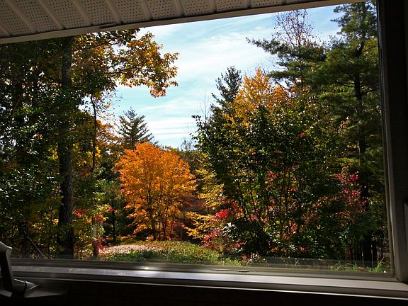 kitchen view