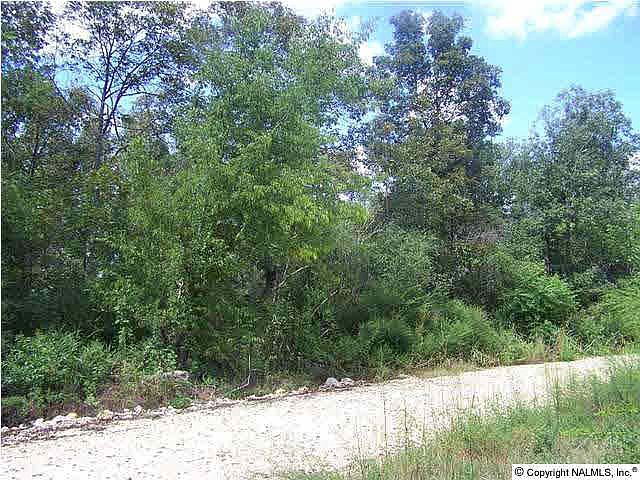2nd image of 636 County Road 158