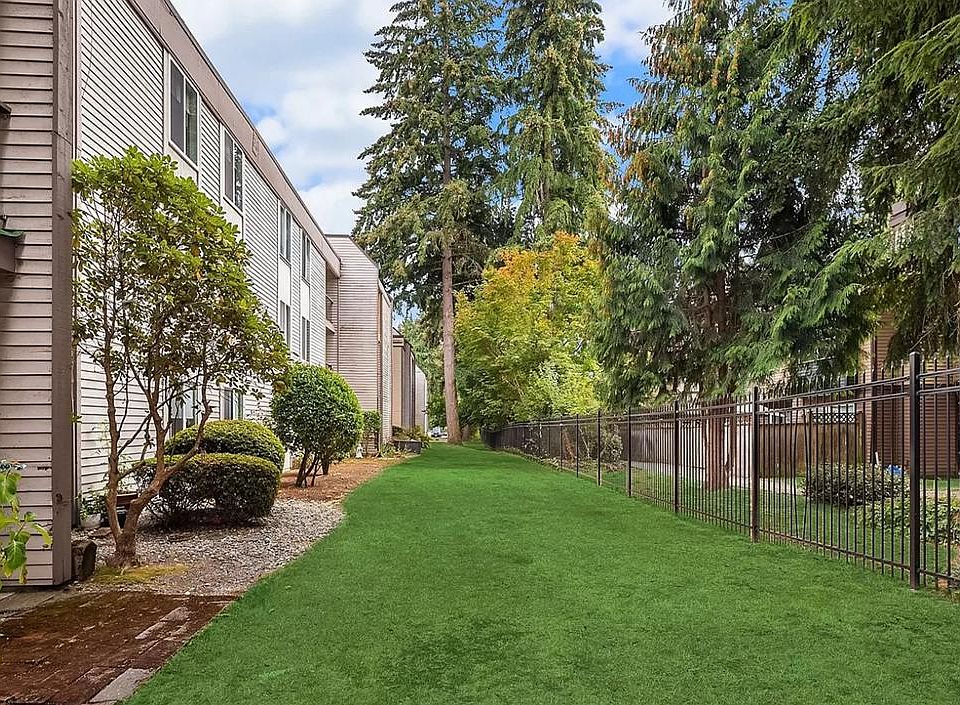 Park-like grass lawn