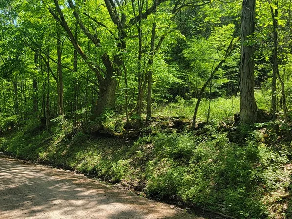 LOT 3 Bookhout Rd, Franklin, NY 13775