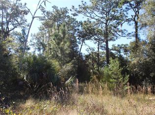 Doyle Rd, Osteen, FL 32764