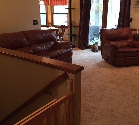 3rd image of 22970 Foxfire Dr