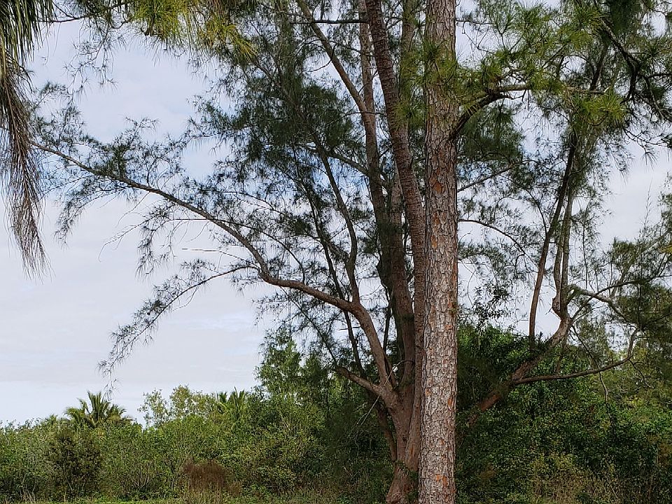 5 acres
