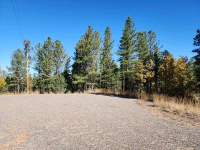 2726 Well Water Rd, Happy Jack, AZ, 86024