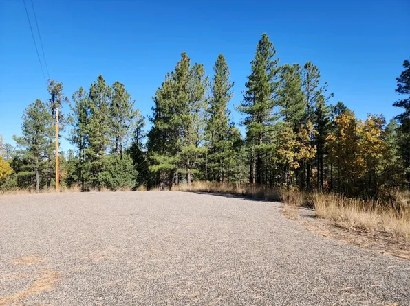 2726 Well Water Rd, Happy Jack, AZ 86024