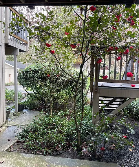 North Dutton Place Apartments — Photo 13