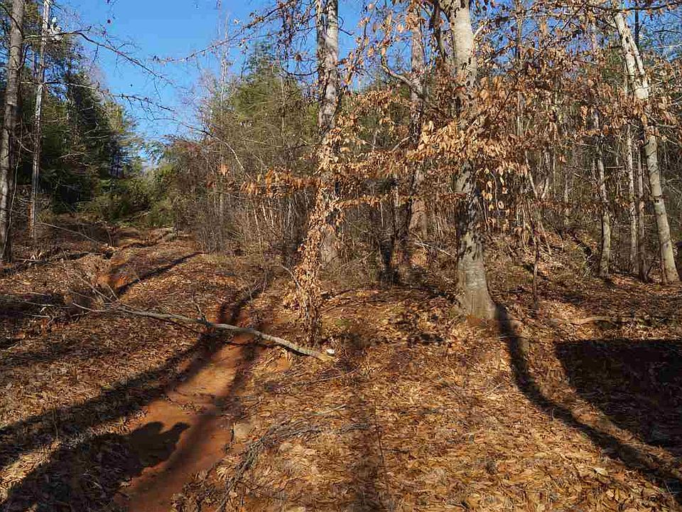 2nd image of 401 Maple Creek Rd