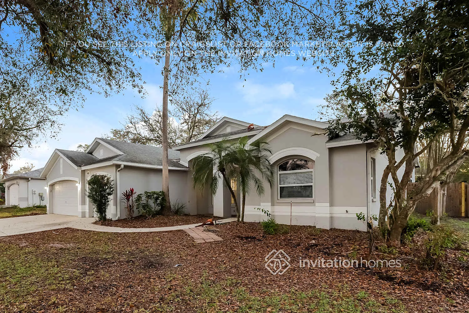 2927 Folklore Dr Valrico, FL 33596 — Photo 3