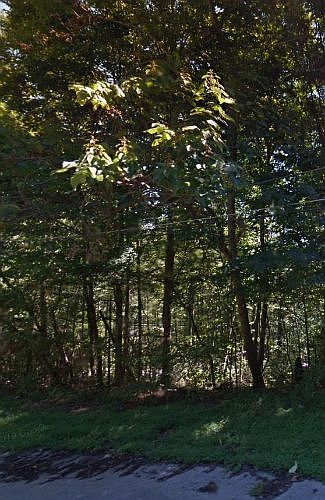 1st image of Thorngrove Dr