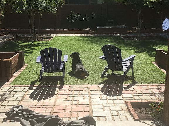 5th image of 44939 W Paitilla Ln