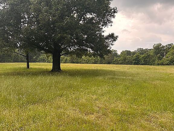 2nd image of 0 Center Point Loop