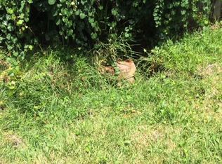 4317 Bondarenko Rd, Keystone Heights, FL 32656