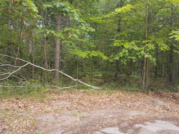 Ottawa Ct, Atlanta, MI 49709