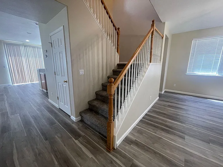 836 Shasta Daisy Dr — Photo 18