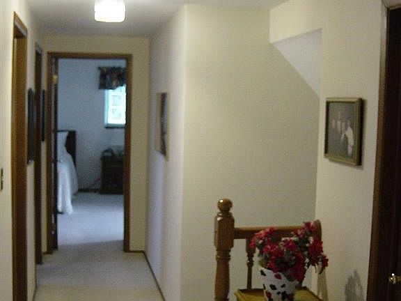 5th image of 2161 Gorno Ct