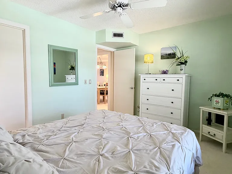 Guest Bedroom w/ walk-in closet