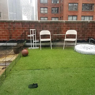 Rented by Prince Real Estate Associates LLC | media 15