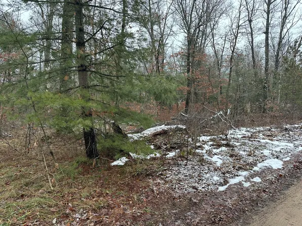 4378 S Sheridan Ave, Baldwin, MI 49304