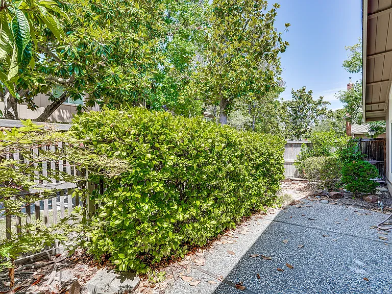 10161 Firwood Dr — Photo 38
