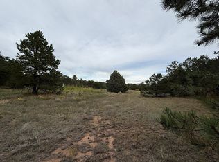 1762 5th Trl, Cotopaxi, CO 81223