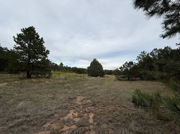1762 5th Trl, Cotopaxi, CO 81223