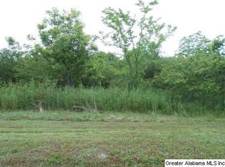 Black Rd, Blountsville, AL 35031