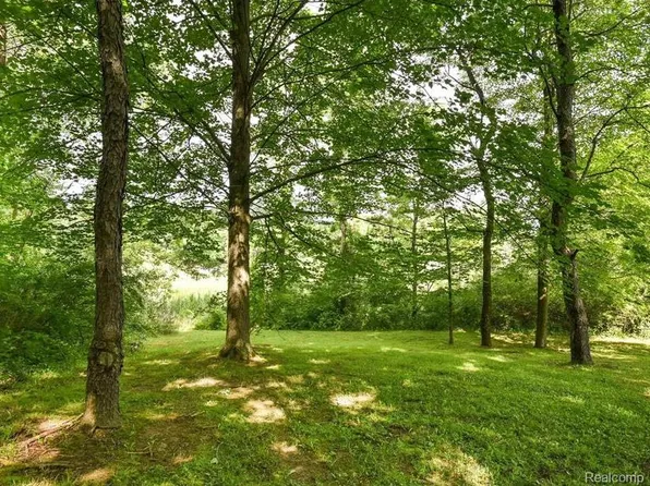 11829 Osprey Bay Rd, Davisburg, MI 48350