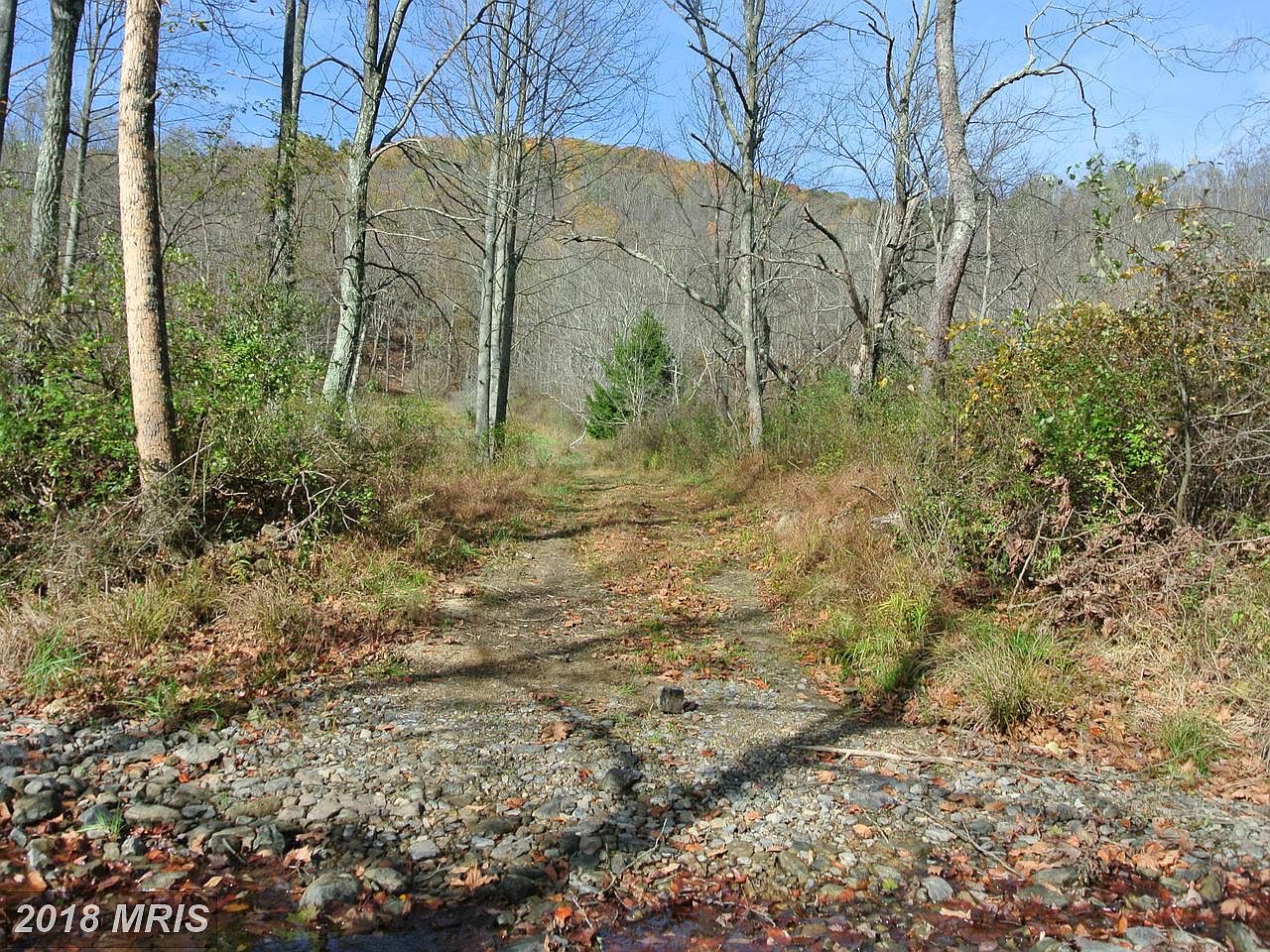 31307 Oldtown Orleans Rd SE, Little Orleans, MD 21766 | Zillow
