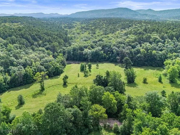 1 Yeaman Ln, Mount Ida, AR 71957