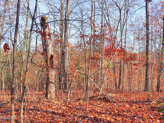 2nd image of LOT 190 Hickory Way
