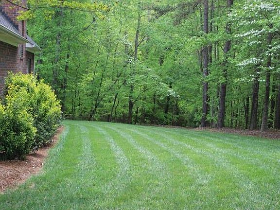 yard