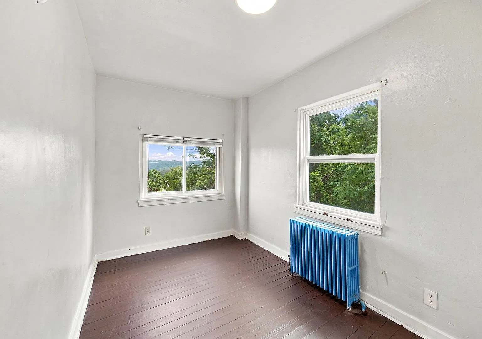 1 bed, $750 — Photo 3