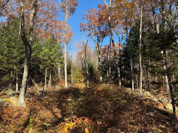 0 Town Farm Road, Stoddard, NH 03464