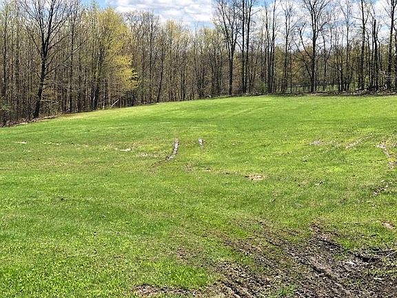 4th image of 126 White Birch Ln