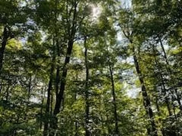 Browns Road, Livingston Manor, NY 12765