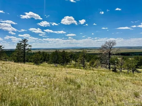 000 Ridge Road, Ramah, CO 80832