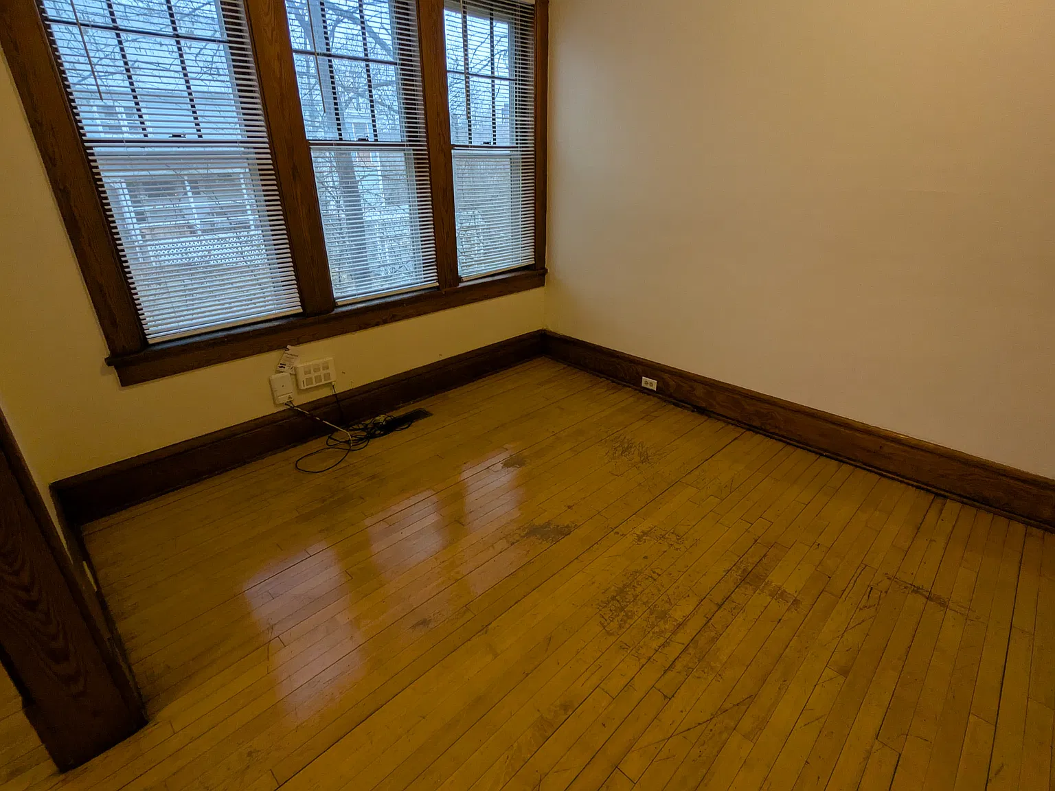 1 bed, $850 — Photo 3