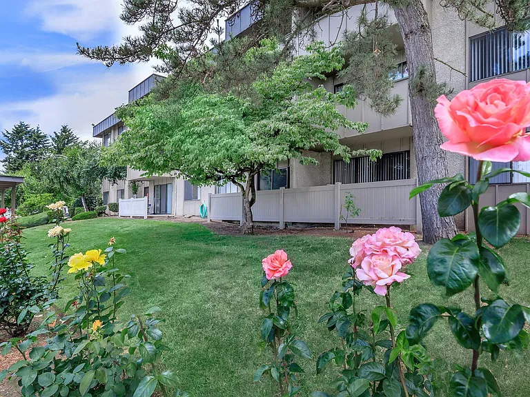 Summerhill Apartments — Photo 7