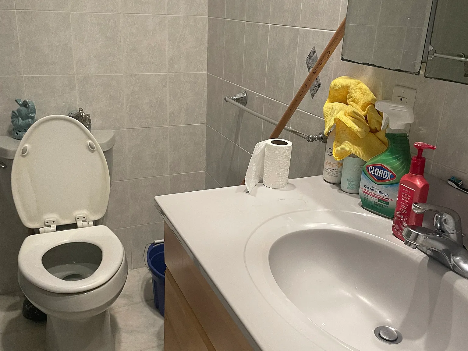 2 bed, 850 sqft, $3,000 — Photo 3