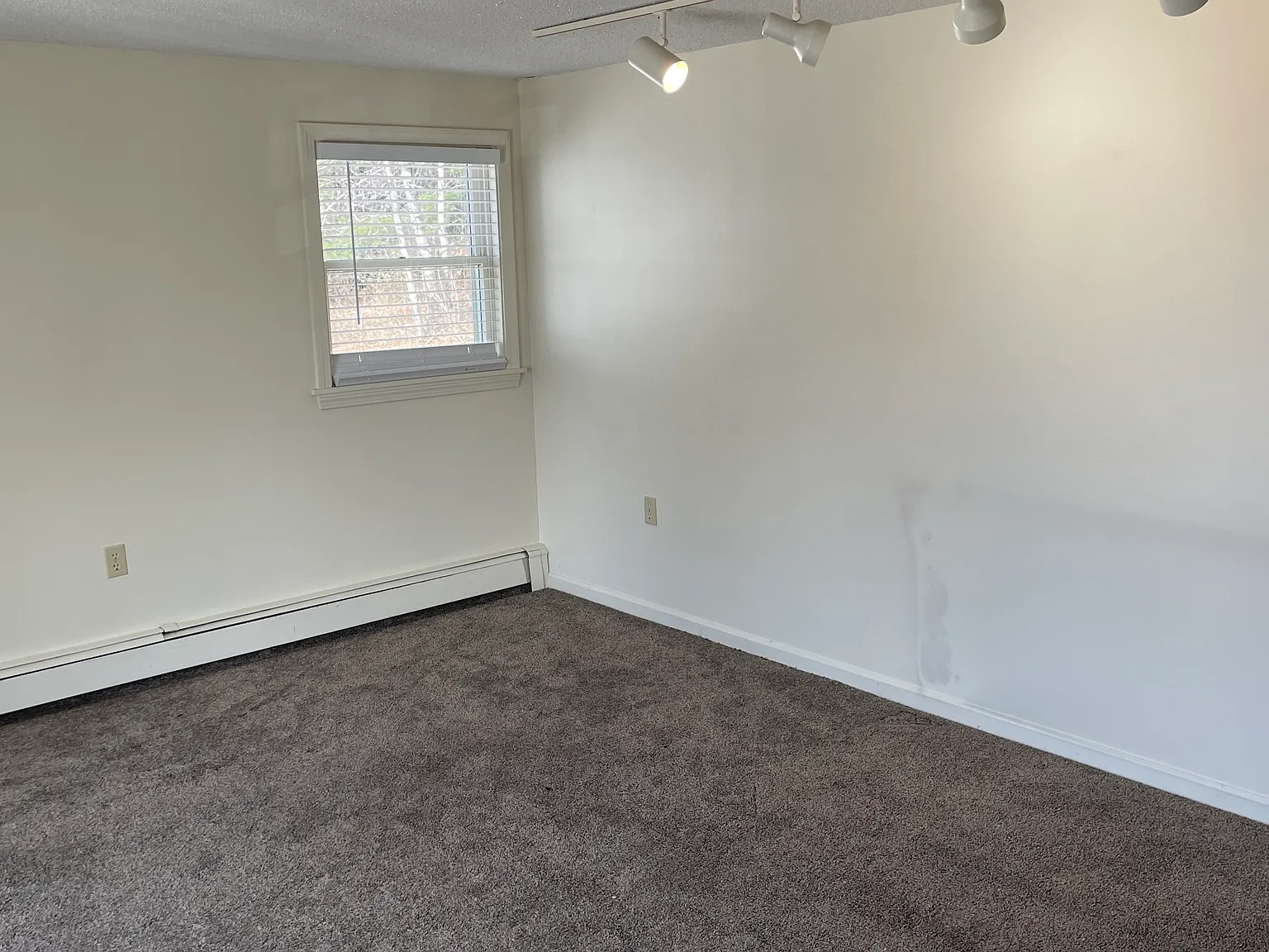 2 bed, 1000 sqft, $1,625 — Photo 2