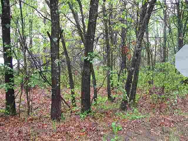 1st image of 0 Shady Lane Castle Rock