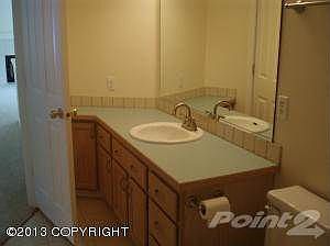 Main bath vanity