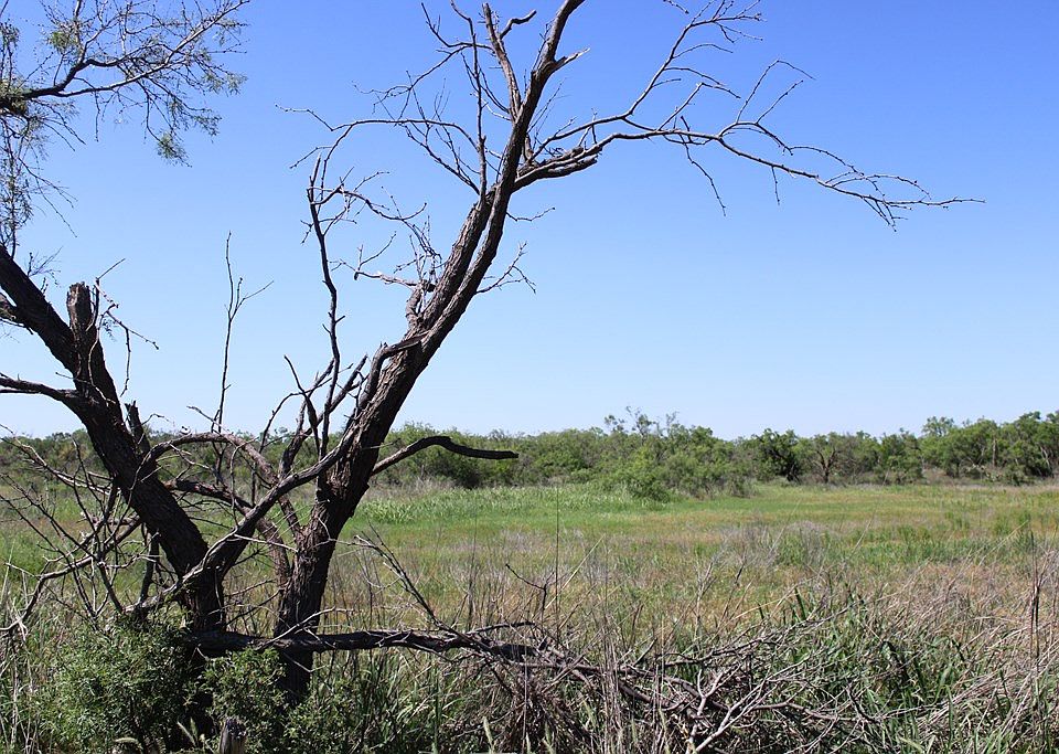 2nd image of 0 County Road 273