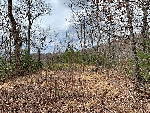 2nd image of 46 Mountain Heritage Dr