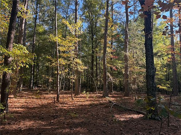 4th image of TRACT E Four George Bryant Rd