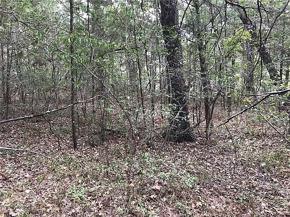 4th image of 173 Shawnee Dr