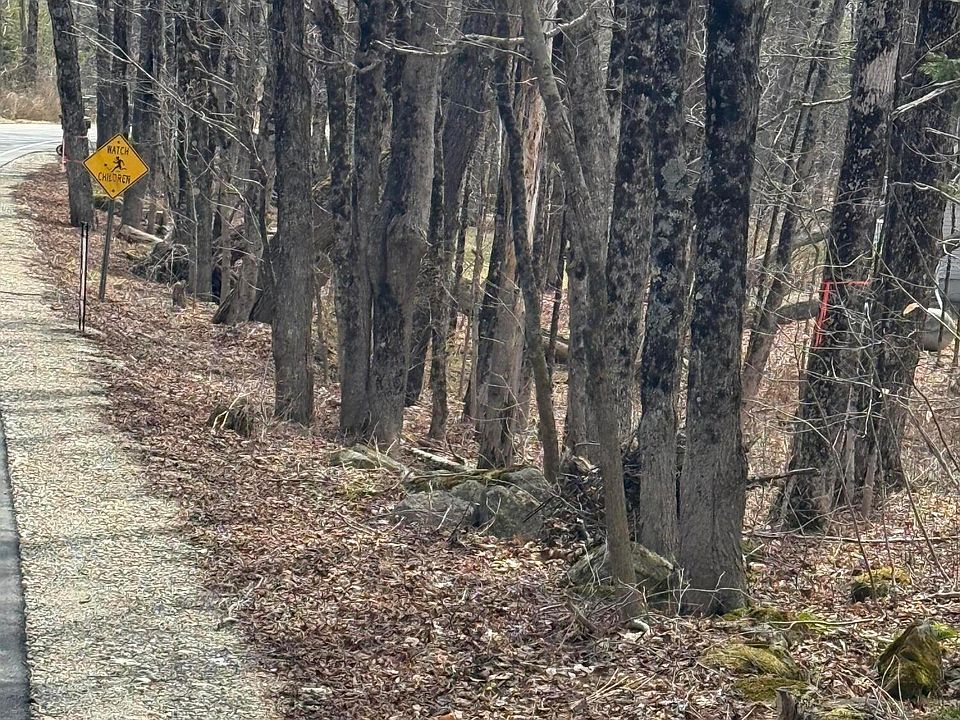 1st image of 0 George Schnopp Rd