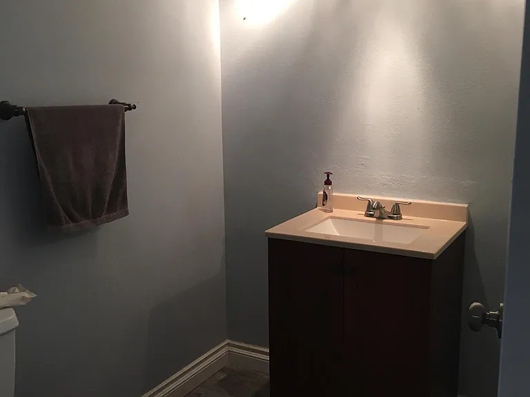 Downstairs half bathroom
