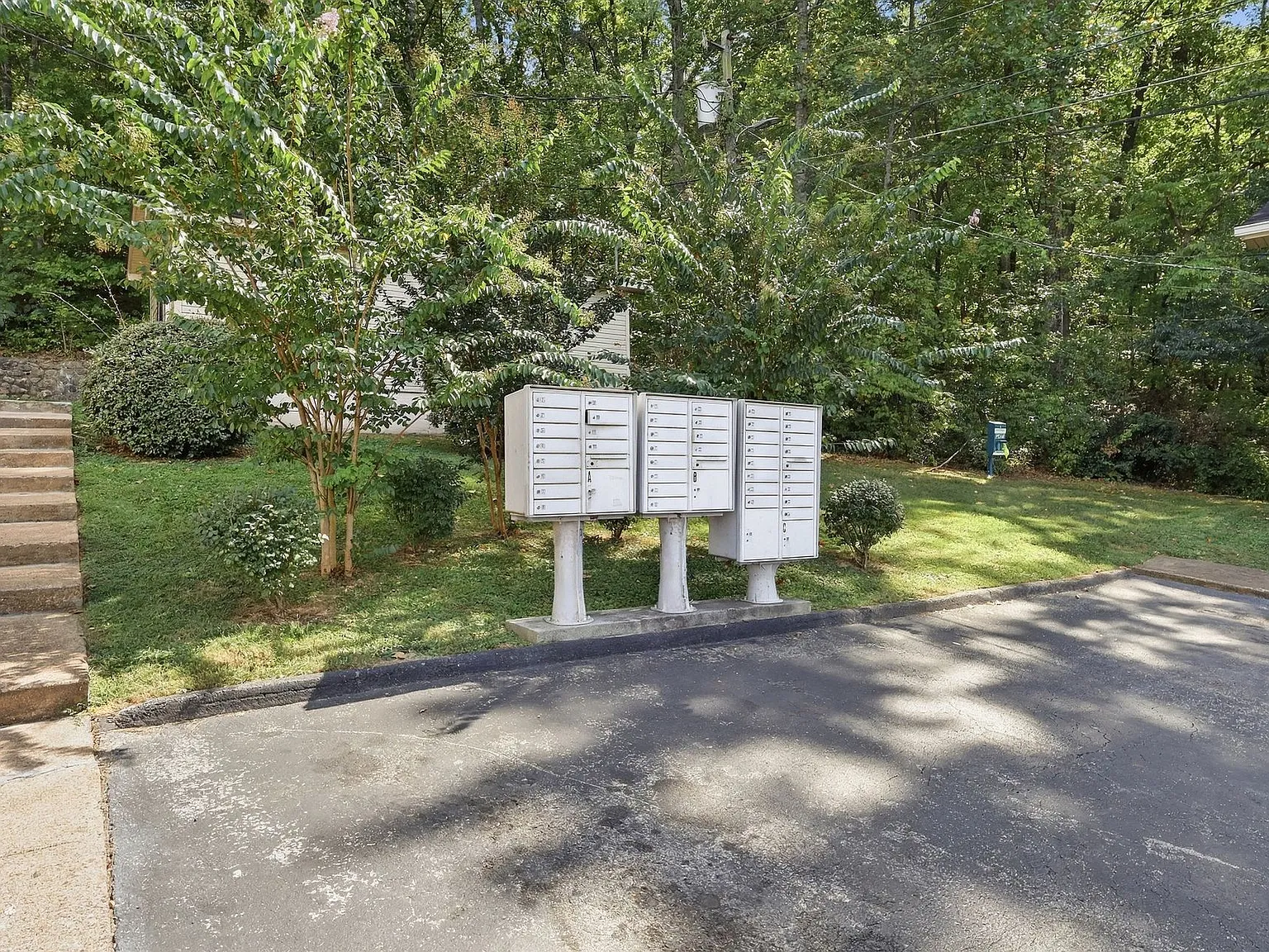 Terra at Ashley — Photo 3