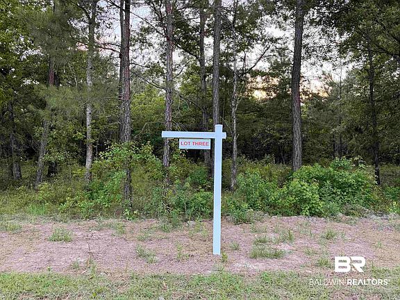 5th image of 43369 Pine Grove Rd #1